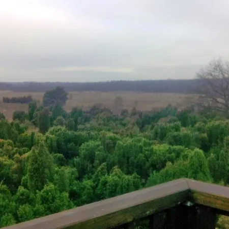 Prázdninový dům Holiday Home Natur Pur Am Veb'Nekoten By Interhome