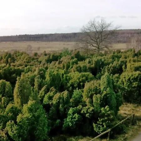 Prázdninový dům Holiday Home Natur Pur Am Veb'Nekoten By Interhome