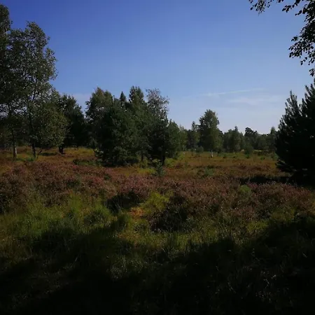 Holiday Home Natur Pur Am Veb'Nekoten By Interhome Niederkrüchten