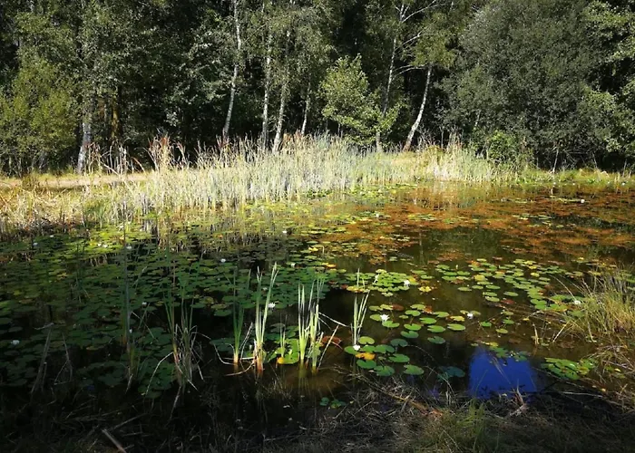 By Interhome Hébergement de vacances Niederkrüchten